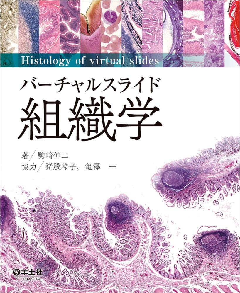 バーチャルスライド 組織学 | 駒﨑 伸二 |本 | 通販 | Amazon