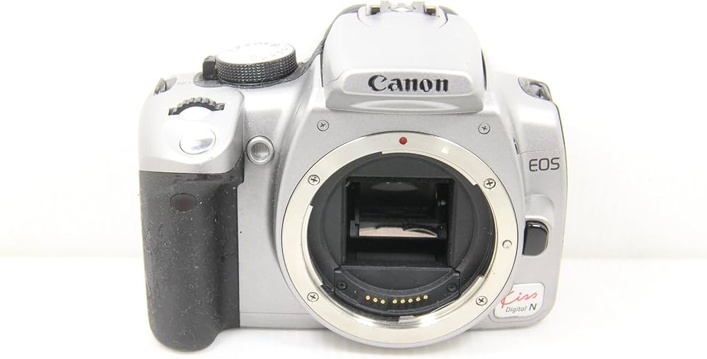 旅行や運動会の撮影にCanon EOS kiss Digital N フルセット キヤノン