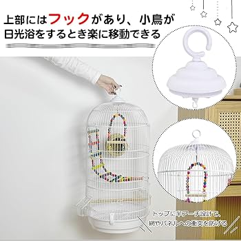 Amazon | RAKU バードケージ 鳥カゴ 鳥小屋 複数飼い 止まり木