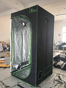 71YI-52GZ6L._AC_UF350,