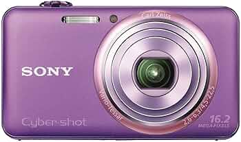 71YoUREKqWL._AC_UF350,