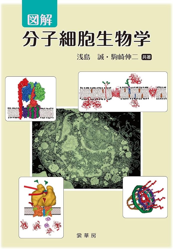 図解 分子細胞生物学 | 浅島 誠, 駒崎 伸二 |本 | 通販 | Amazon