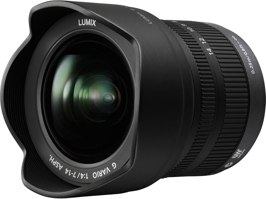 Amazon.com : PANASONIC LUMIX G VARIO LENS, 7-14MM, F4.0 ASPH