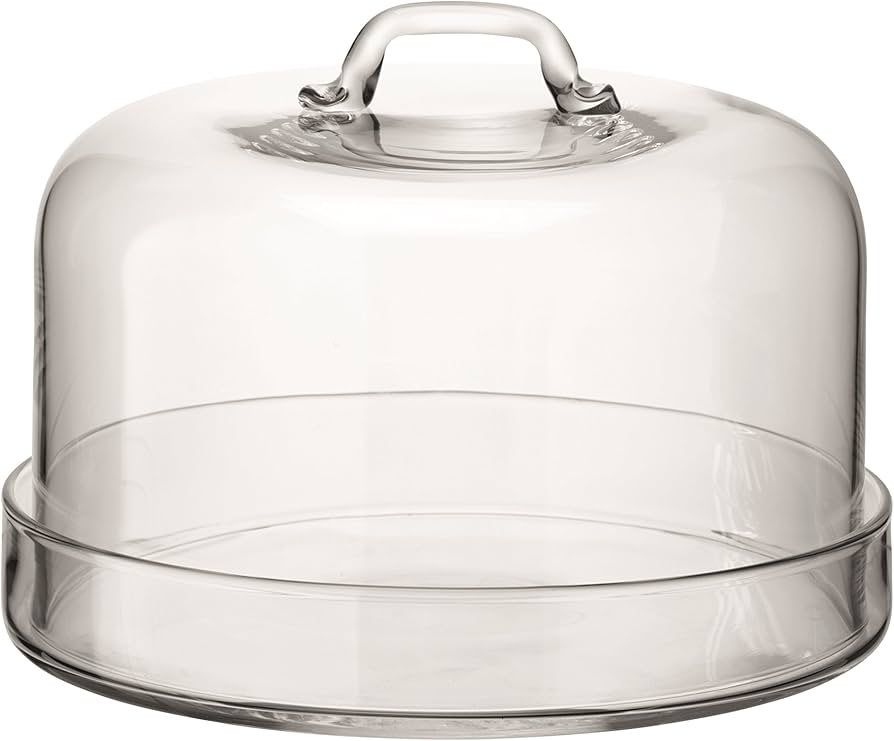 Amazon.com: LSA International Serve Plate & Dome, 9.5