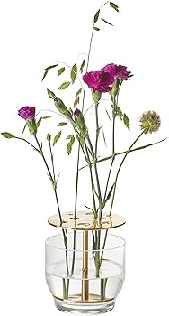 Amazon｜フリッツ・ハンセン フラワーベース イケバナ・ベース