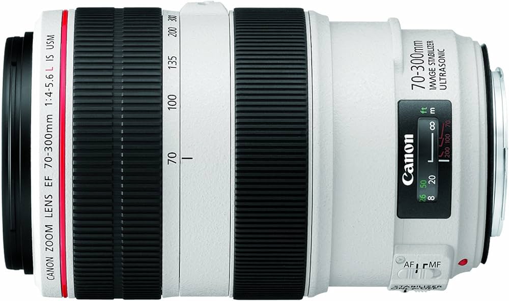 Amazon.co.jp: Canon EF 70-300mm f/4-5.6L IS USM Objectif Noir
