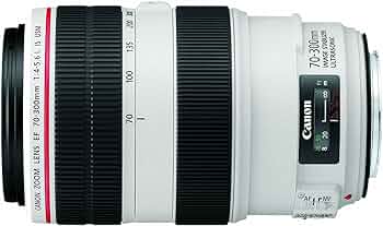 Canon EF 70-300mm f/4-5.6L is USM UD Telephoto Zoom Lens for Canon