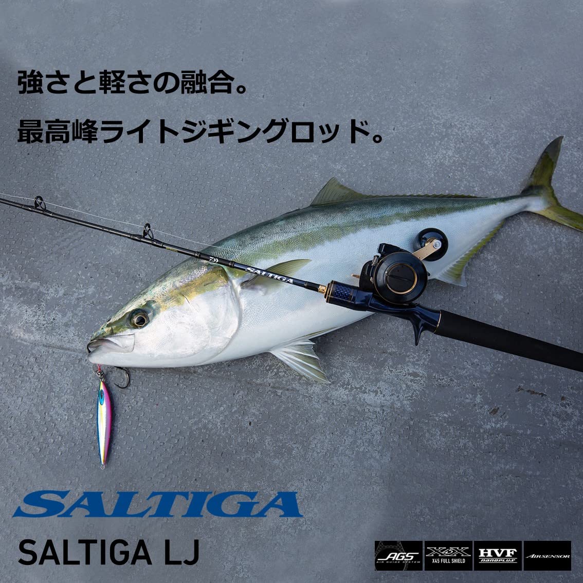 Amazon | ダイワ(DAIWA) ライトジギングロッド ソルティガ(SALTIGA) LJ