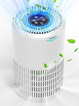 71ZTQlc5G4L._AC_UF350,