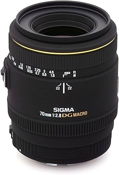 Amazon.co.jp: SIGMA 単焦点マクロレンズ MACRO 70mm F2.8 EX DG