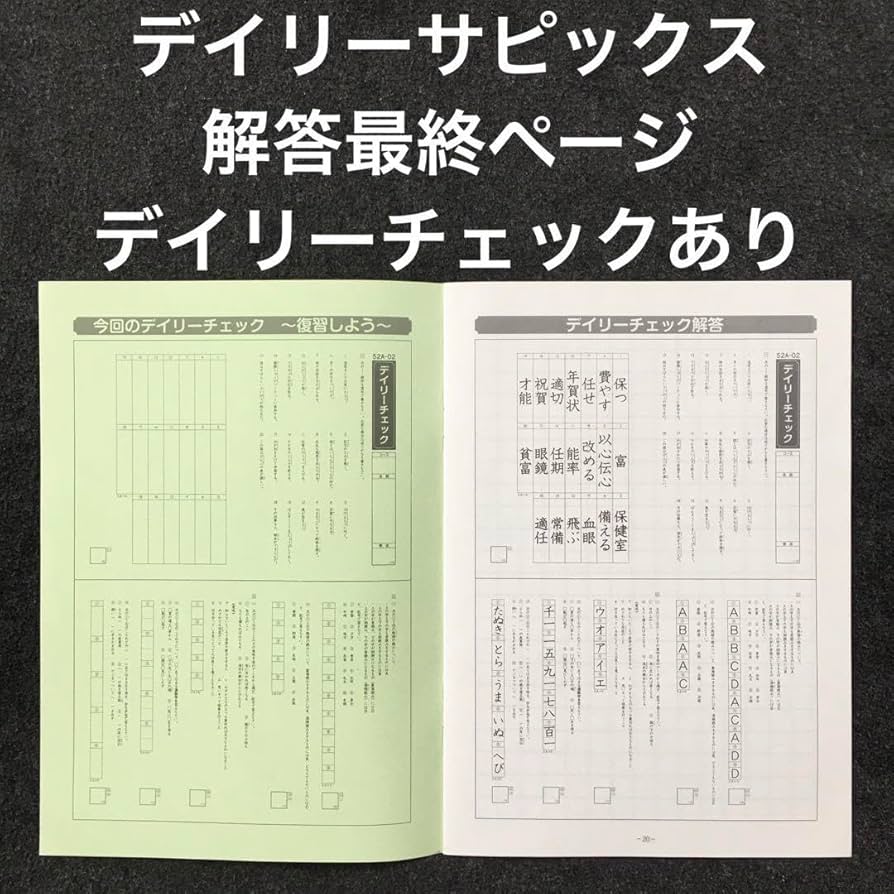 Amazon.co.jp: サピックス 5年 国語 1年分 季節講習 デイリーチェック