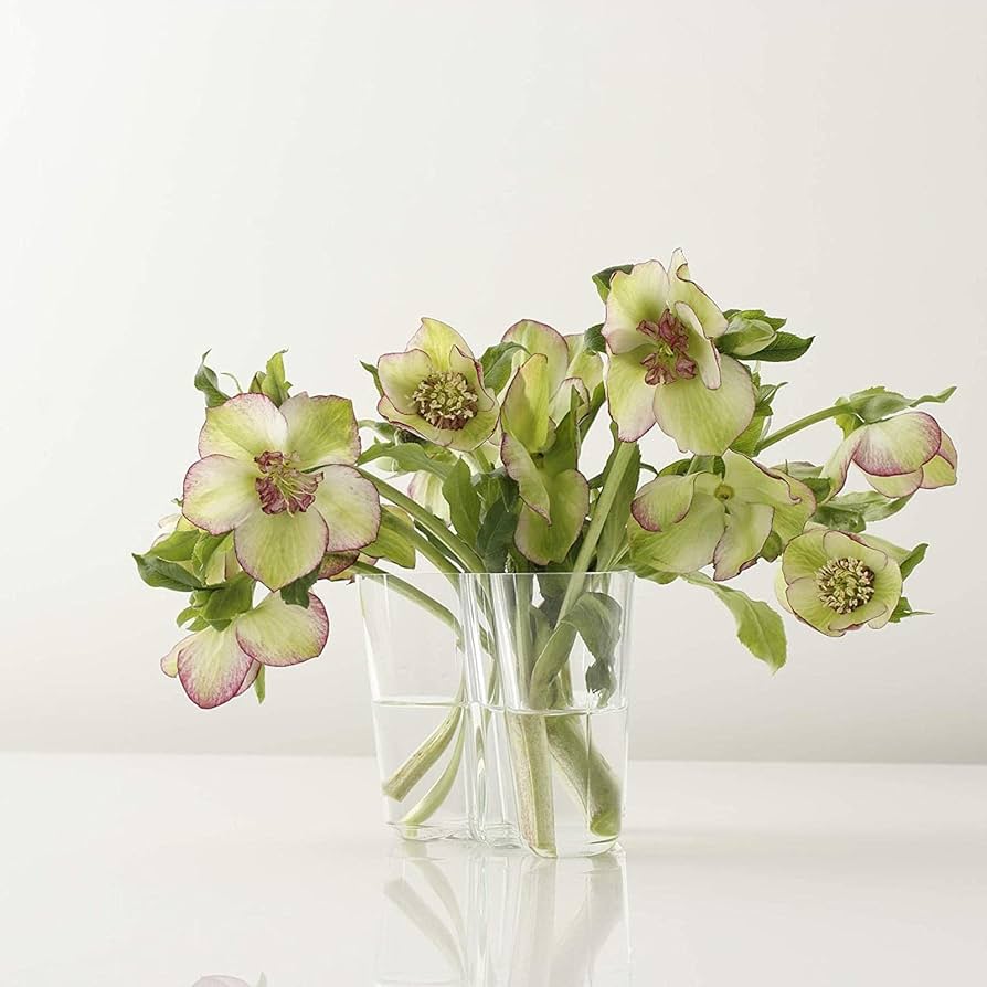 Amazon.co.jp: 【正規輸入品】 イッタラ アルヴァ・アアルト