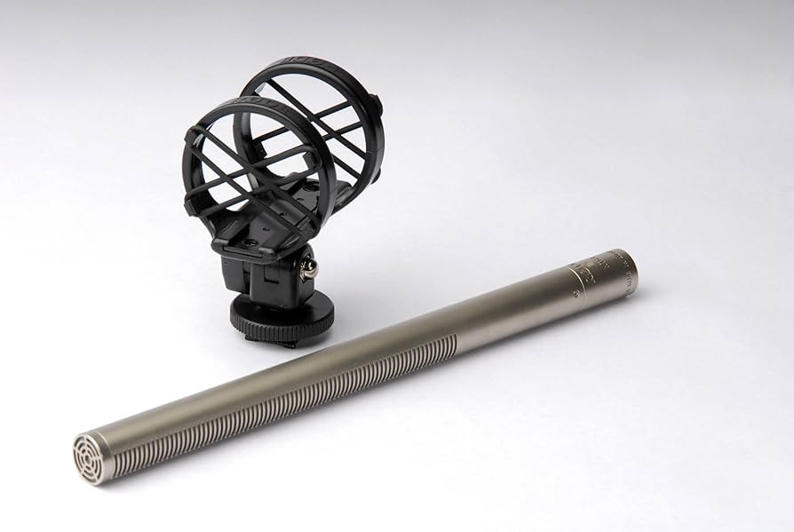 Amazon.co.jp: 【国内正規品】RODE ロード NTG3 コンデンサーマイク