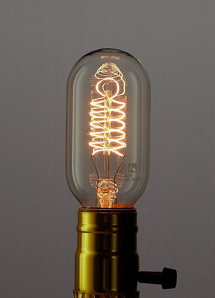 希少 激レアアンティーク ランプ 白熱灯器具 アカネライティング 08年