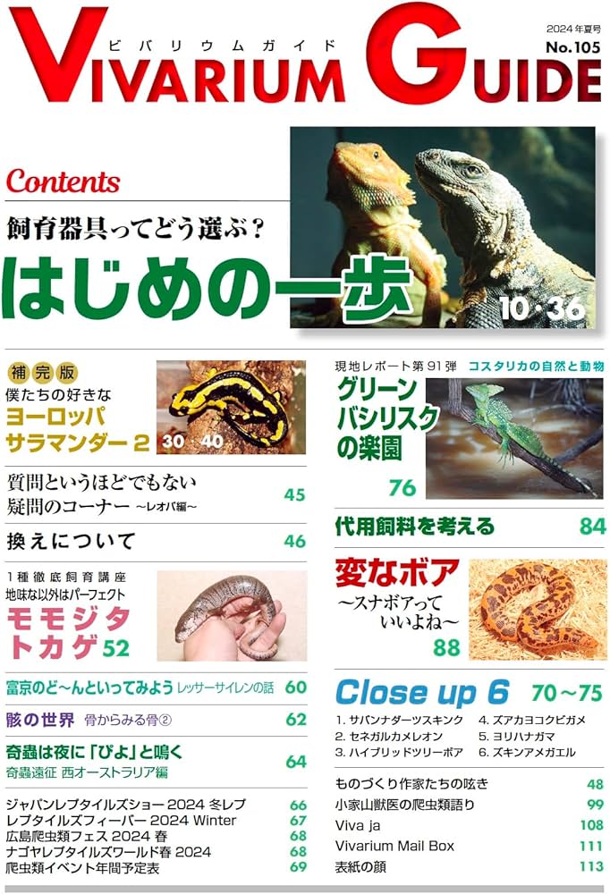 ビバリウムガイド No.105 2024年 6月号 飼育器具ってどう選ぶ？はじめ