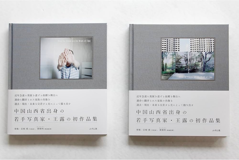 71aed-ladbL._AC_UF1000,