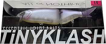 71aezK02PsL._AC_UF350,