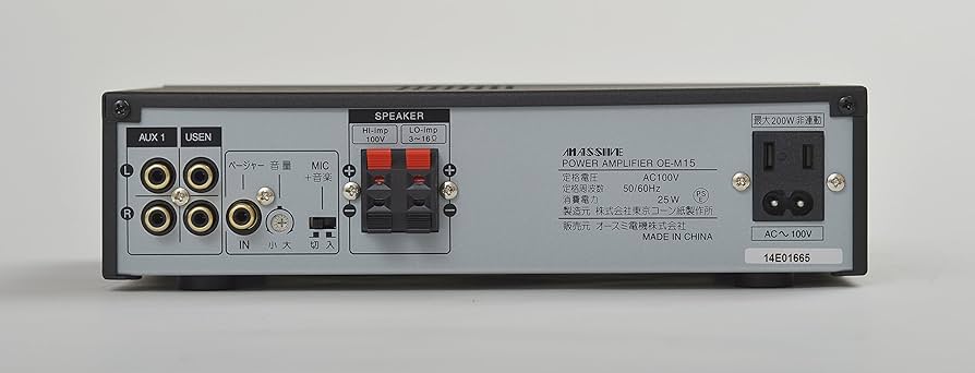 Amazon | MASSIVE マッシブ モノラルアンプ(ロー・インピーダンス/ハイ