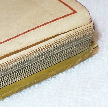 Amazon.com: A Paris Sous La Botte Des Nazis: Jean Eparvier: Books