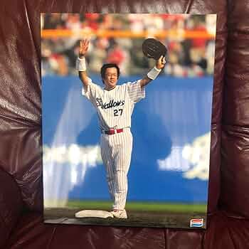 71b04aEzs0L._AC_UF350,