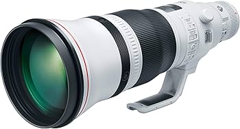 Amazon.com : Canon EF 600mm f/4L is III USM Lens Black : Electronics