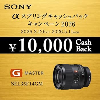 Amazon | SONY(ソニー) 広角単焦点レンズ フルサイズ FE 35mm F1.4 GM