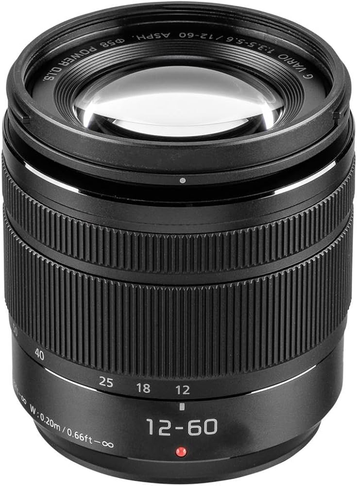Amazon.co.jp: パナソニック Lumix G Vario 12-60mm F3.5-5.6 非球面