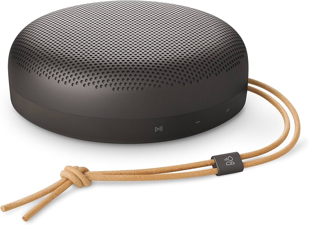 Amazon.com: Bang & Olufsen Beosound A1 3rd Gen Portable Waterproof