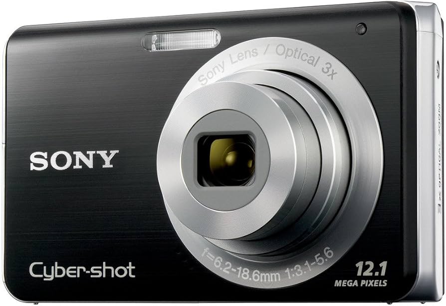 Amazon.com : Sony Cybershot DSC-W190 12.1MP Digital Camera with 3x
