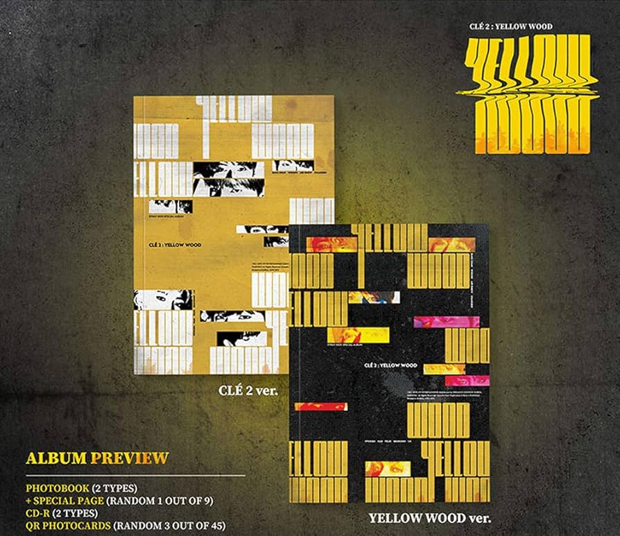 Amazon.com: STRAY KIDS Special Album - CLE 2 : Yellow Wood