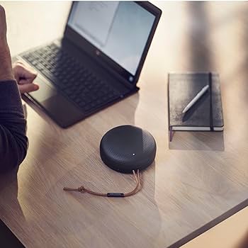 Amazon.co.jp: Bang & Olufsen Portable Speaker Beosound A1 2nd