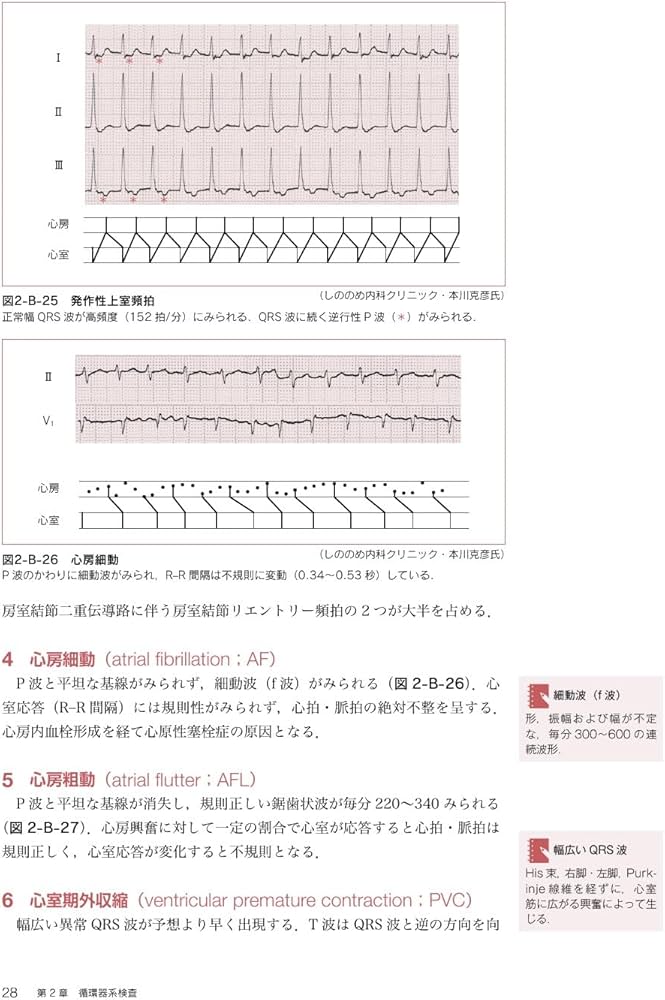 最新臨床検査学講座 生理機能検査学 第3版 | 東條 尚子, 川良 徳弘