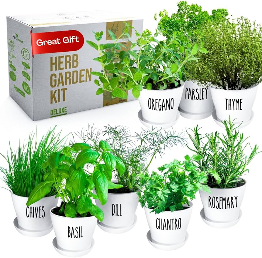 Amazon.com : Deluxe Indoor & Outdoor Herb Garden Kit – 8 or The