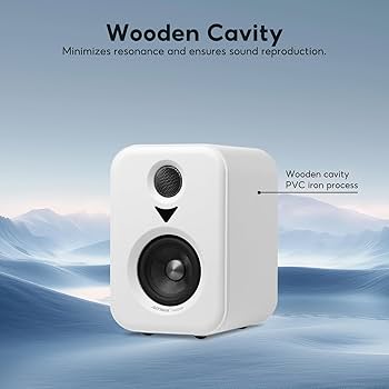 Amazon.co.jp: AIYIMA S400 【更新モデル 】100Wブックシェルフ