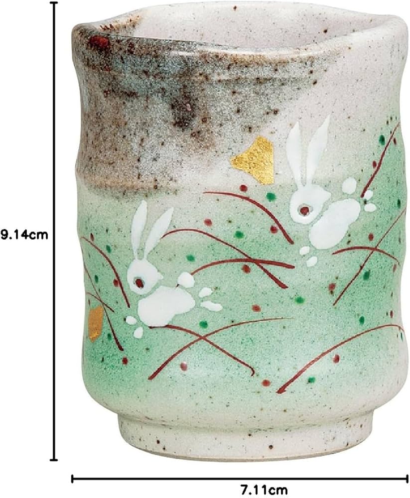 71cqeXA+ccL._AC_UF894,