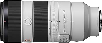 Amazon.com : Sony FE 70-200mm F2.8 GM OSS II Full-Frame Constant
