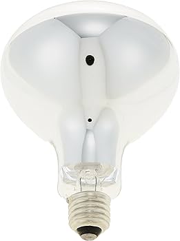 71d51HSCo-L._AC_UF350,