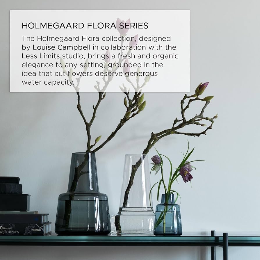 Amazon.co.jp: ホルムガード フローラベース 12cm スモーク : ホーム