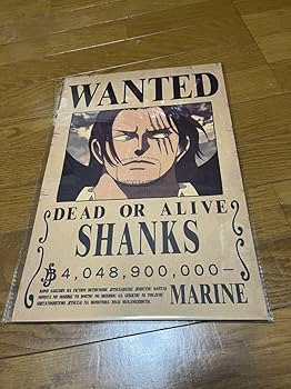 Amazon.co.jp: ワンピース ONEPIECE 手配書 懸賞金 ポスター 4枚セット