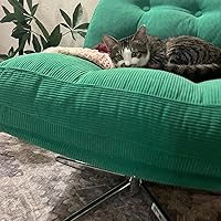 Amazon.co.jp: DYVLINGE ディヴリンゲ 回転パーソナルチェア