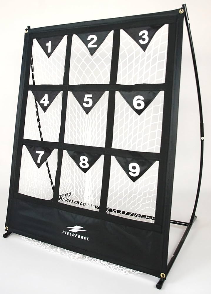 Amazon.co.jp: ターゲットコントロール ストラックアウト FTCS