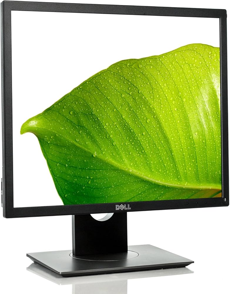 Amazon.com: Dell Monitors P1917S 19In Monitor P1917S : Electronics