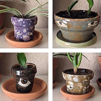 71eFr3zkAnL._AC_UF350,