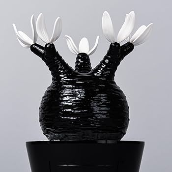 Amazon.co.jp: MEDICOM TOY × BOTANIZE 植物フィギュア, グロス