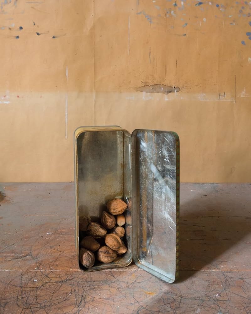 Joel Meyerowitz: Morandi's Objects: Meyerowitz, Joel, Meyerowitz