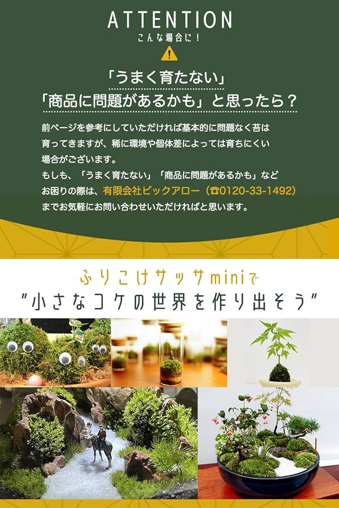 Amazon.co.jp: 【コケサッサmini 3種セット】コケをまいて水をやるだけ