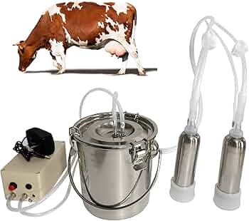 71f+4C0qJJL._AC_UF350,