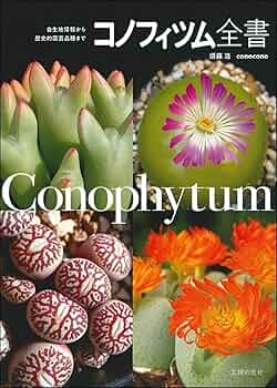 71f6SUL5gYL._AC_UF350,