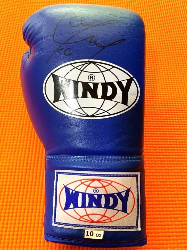 Amazon.co.jp: WBC世界バンダム級チャンピオン 山中慎介 直筆サイン