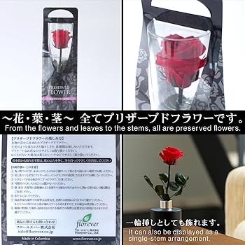 Amazon｜プリザーブドフラワー プリザードフラワー クマさんと一輪の